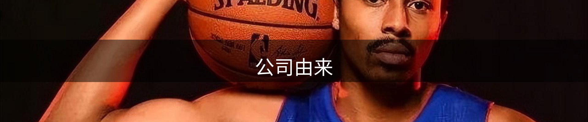 公司由来